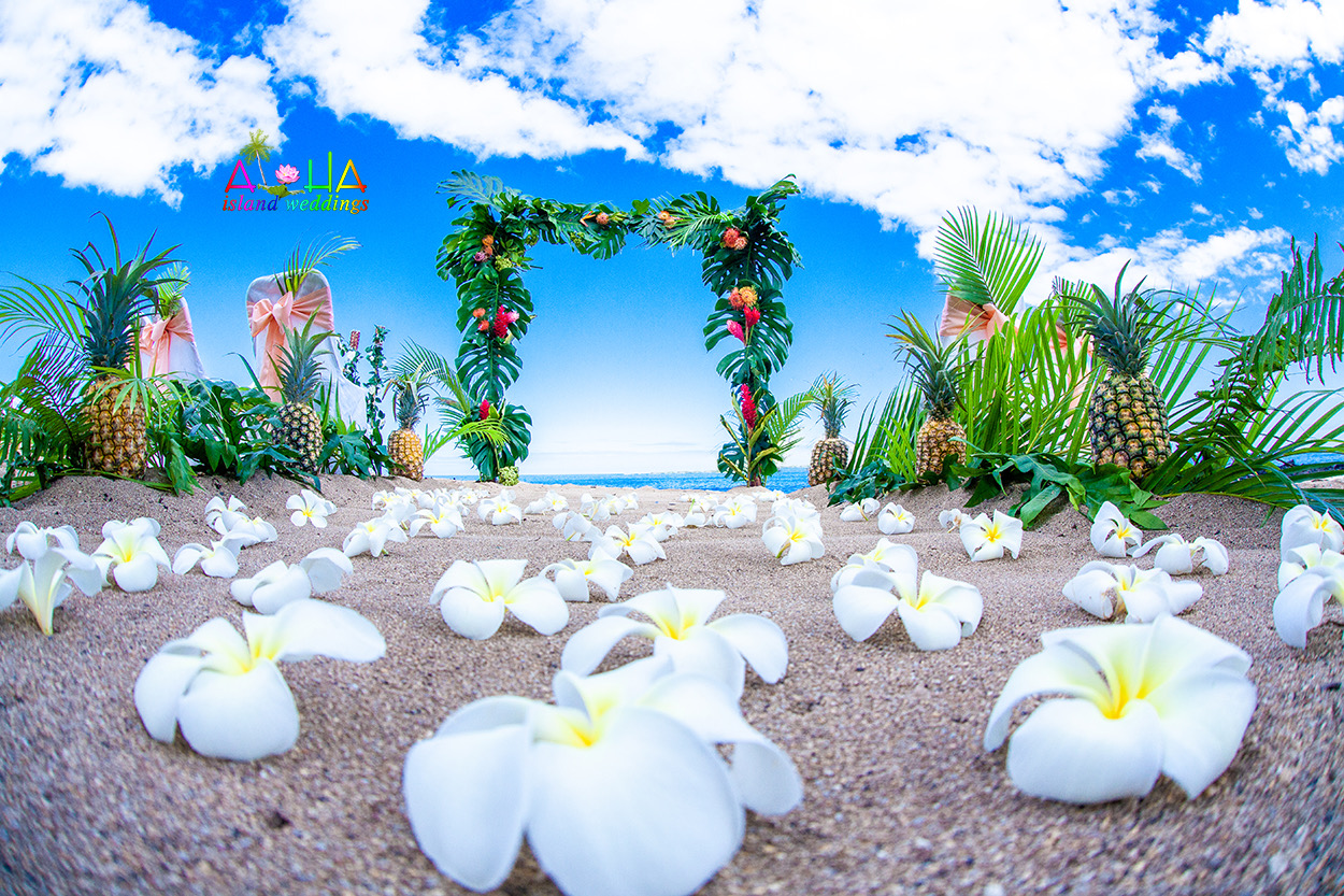 Hawaii themed archway wedding with monstera leaves , pineapples, white and yellow plumerias palm leaves and proteas